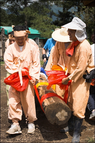 영차~ 부산귀농학교 회원들이 농신목을 옮기고 있습니다. 